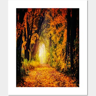 Fall - Landscape Posters and Art